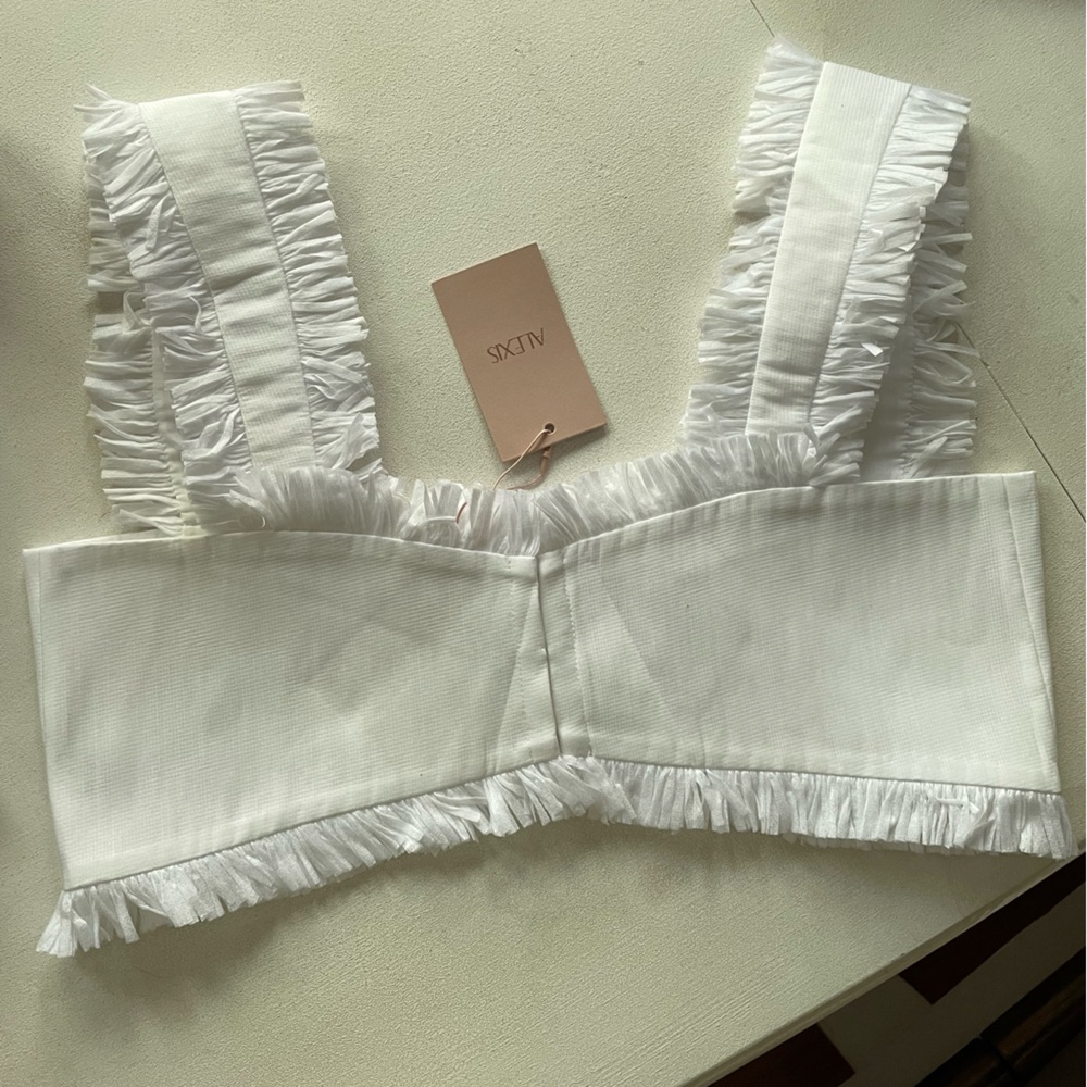 Alexis Elmi Raffia Top - Picture 7 of 10